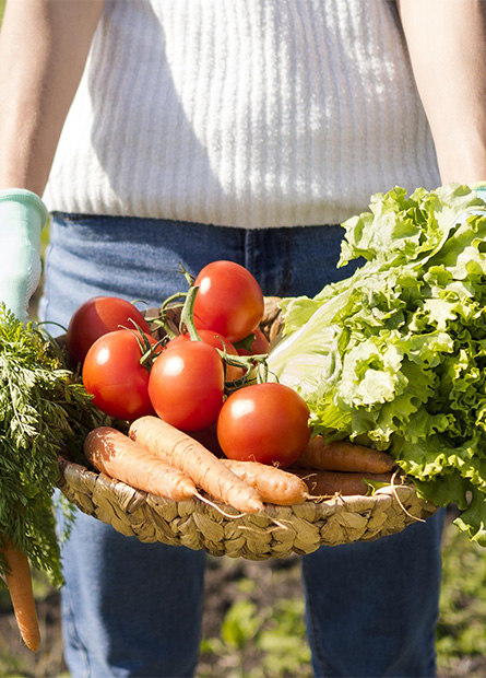 Investigación Ambiental