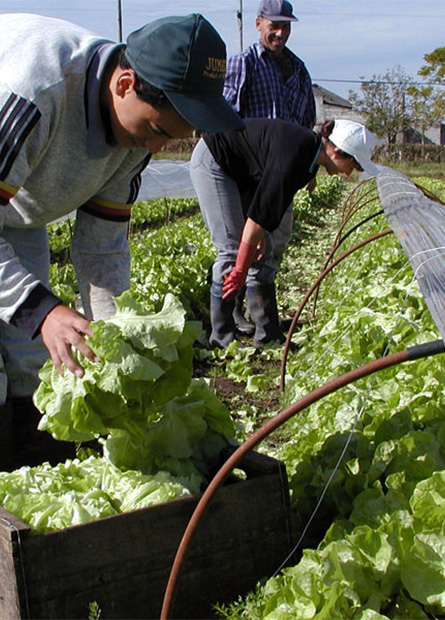 Agropecuaria y Agroeconómica